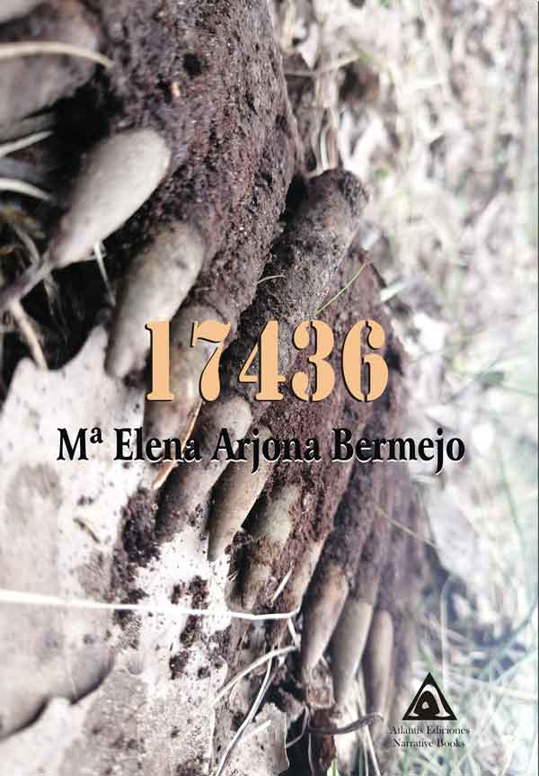 17436, una obra de Mª Elena Arjona Bermejo