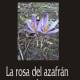 La rosa del azafrán, una obra de Eladio Bernabé F. R. Castedo