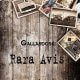 Rara Avis, una libro de relatos de Gallardoski