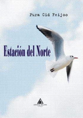 Estación del Norte, una novela de Pura Cid Feijoo
