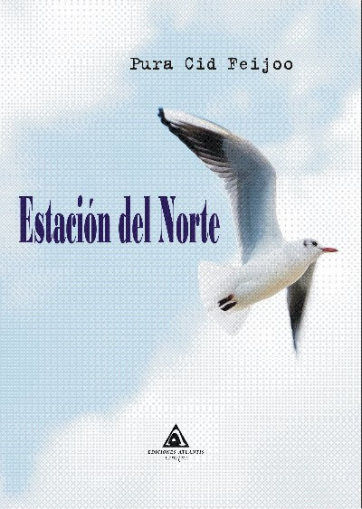 Estación del Norte, una novela de Pura Cid Feijoo