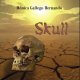 Skull , una novela de Mónica Gallego Hernando.